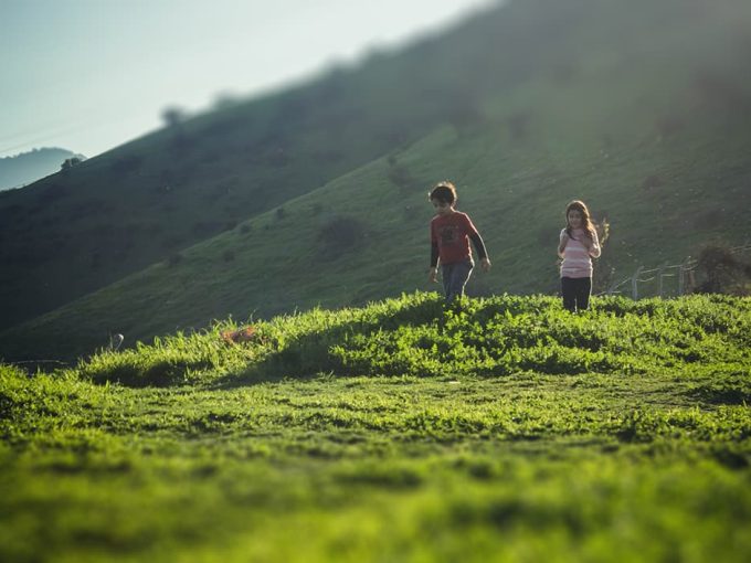 Les meilleurs itinéraires à faire avec des enfants