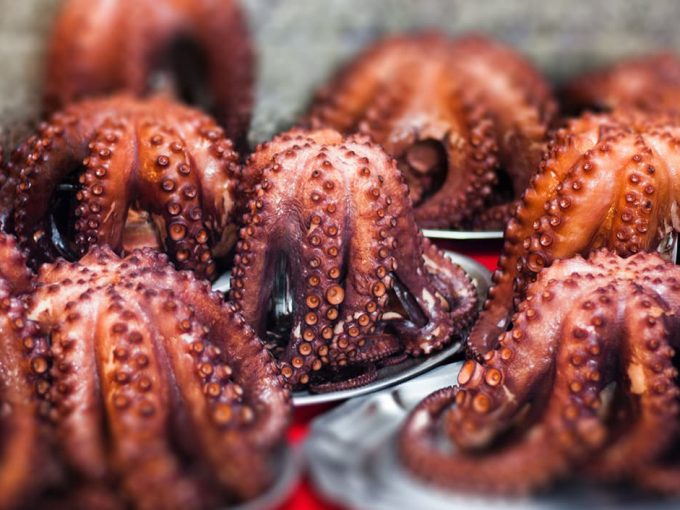 ¿Dónde comer mejor marisco en Galicia?