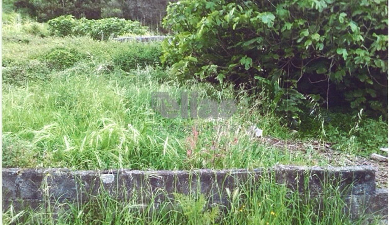 Plot for sale in camelle