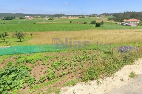 Terrain à vendre à Piñeiro