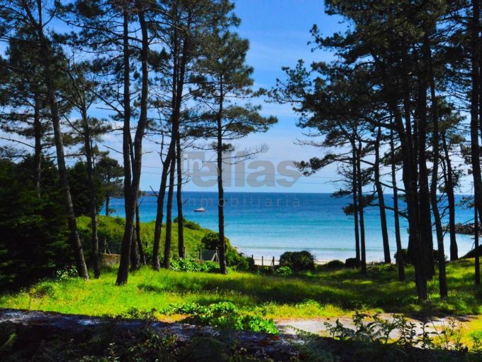 Flat for sale in Estorde